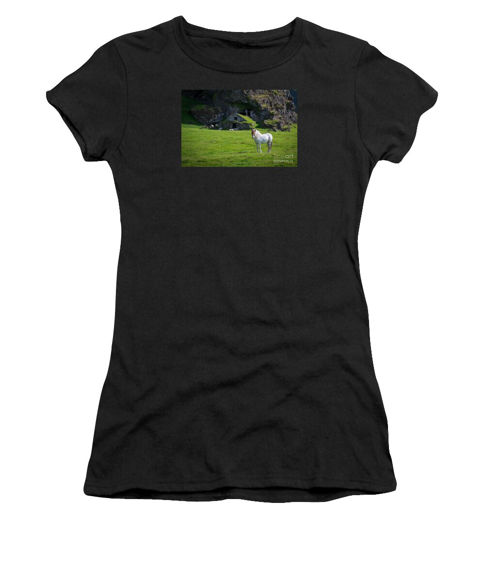 Icelandic Horse Women's T-Shirt featuring the photograph Majestic White Horse In Iceland by Michael Ver Sprill