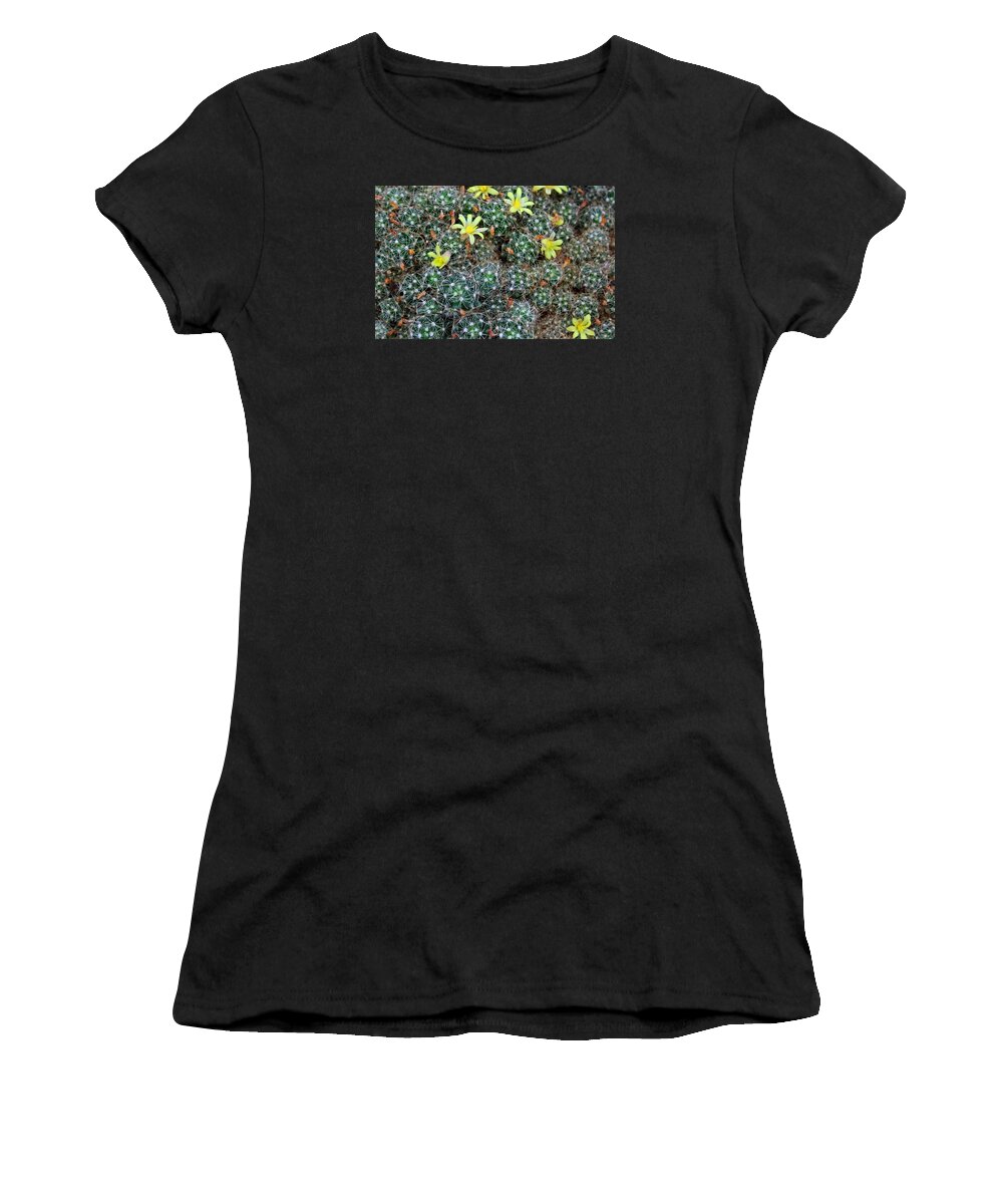 Mammillaria Women's T-Shirt featuring the photograph Mammillaria by Michiale Schneider