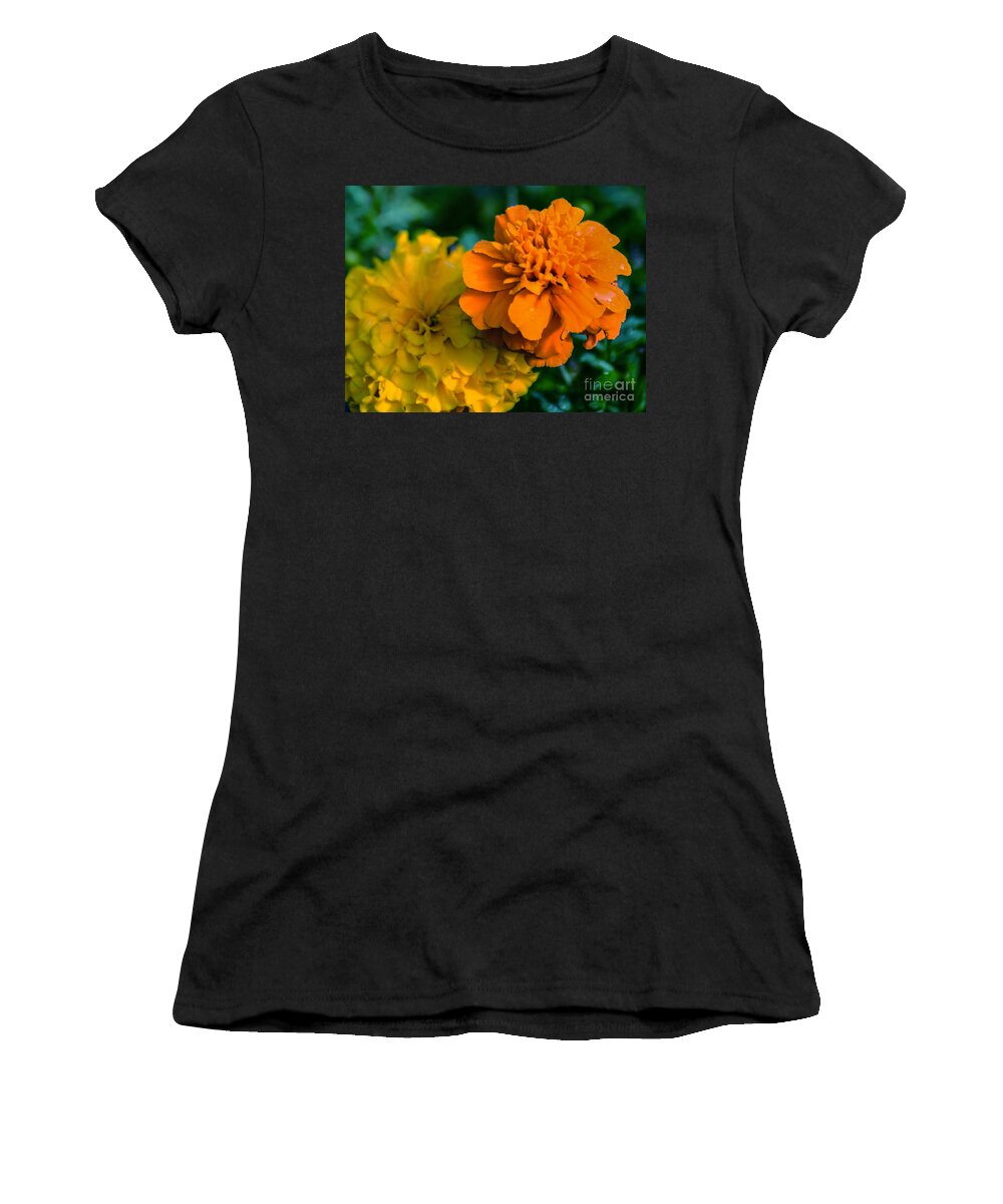 Marigold Women's T-Shirt featuring the photograph Marigold 1 by Metaphor Photo