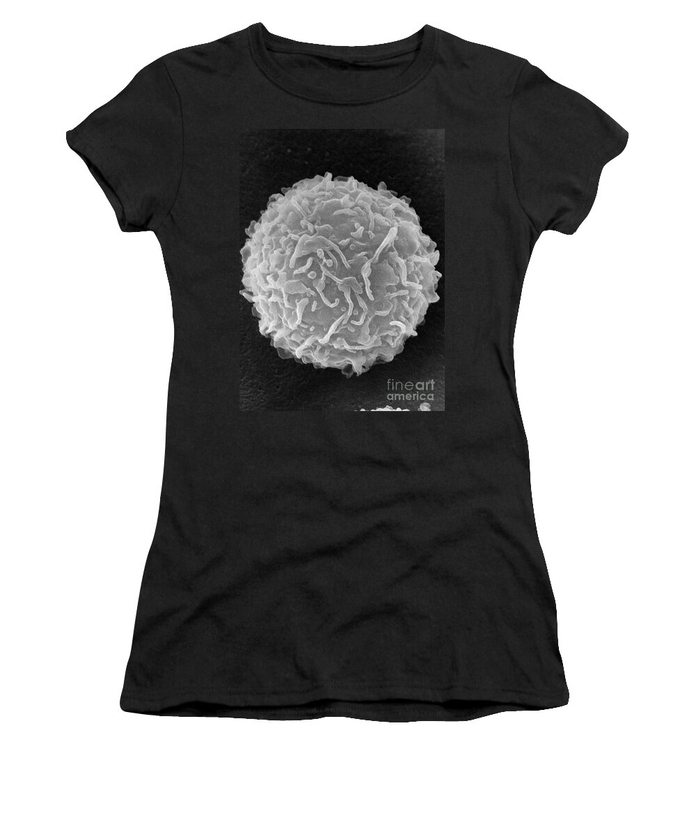 Biology Women's T-Shirt featuring the photograph Mast Cell SEM by Don Fawcett and E Shelton and Photo Researchers