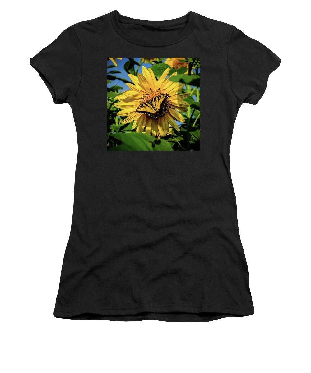 Male Eastern Tiger Swallowtail - Papilio Glaucus Women's T-Shirt featuring the photograph Male Eastern tiger swallowtail - Papilio glaucus and Sunflower by Louis Dallara