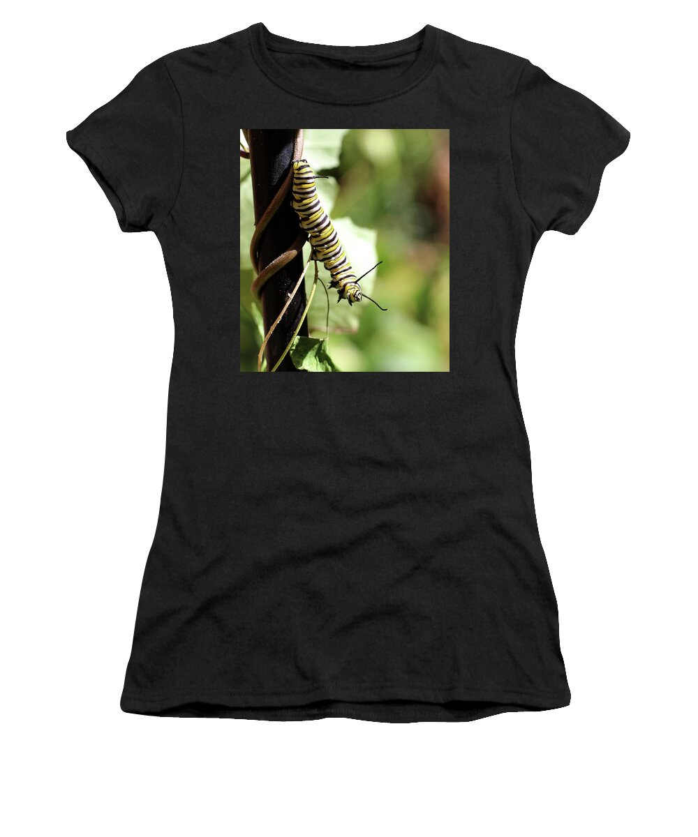 Monarch Women's T-Shirt featuring the photograph Monarch Butterfly Caterpillar looking at you by Adam Long