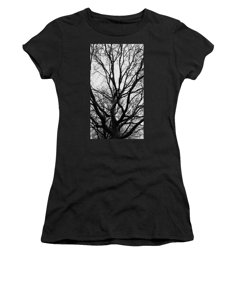 Tree Women's T-Shirt featuring the photograph Monochrome by Andre Brands