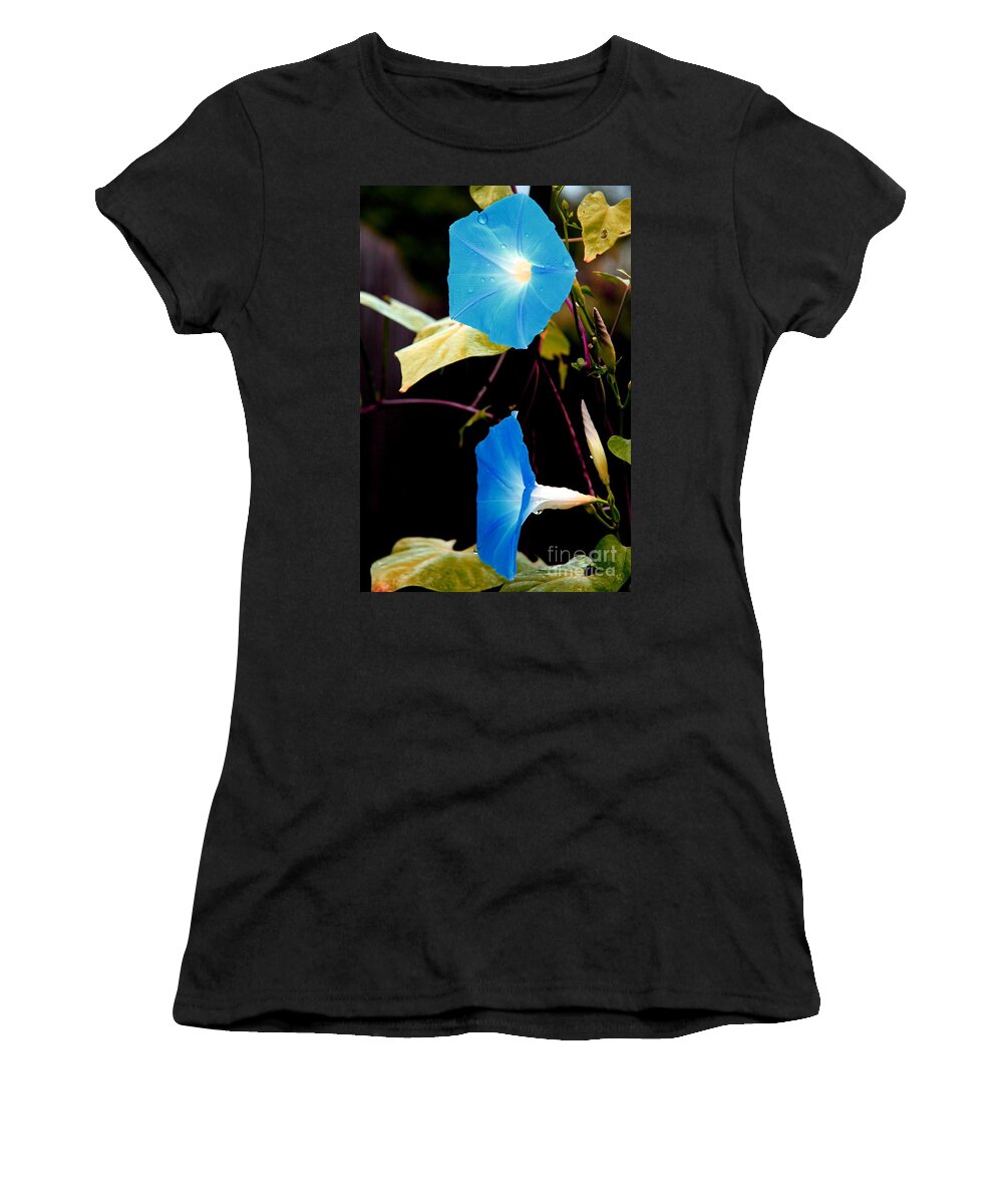 Morning Glories Women's T-Shirt featuring the photograph Morning Glories 1 by Jonathan Harper