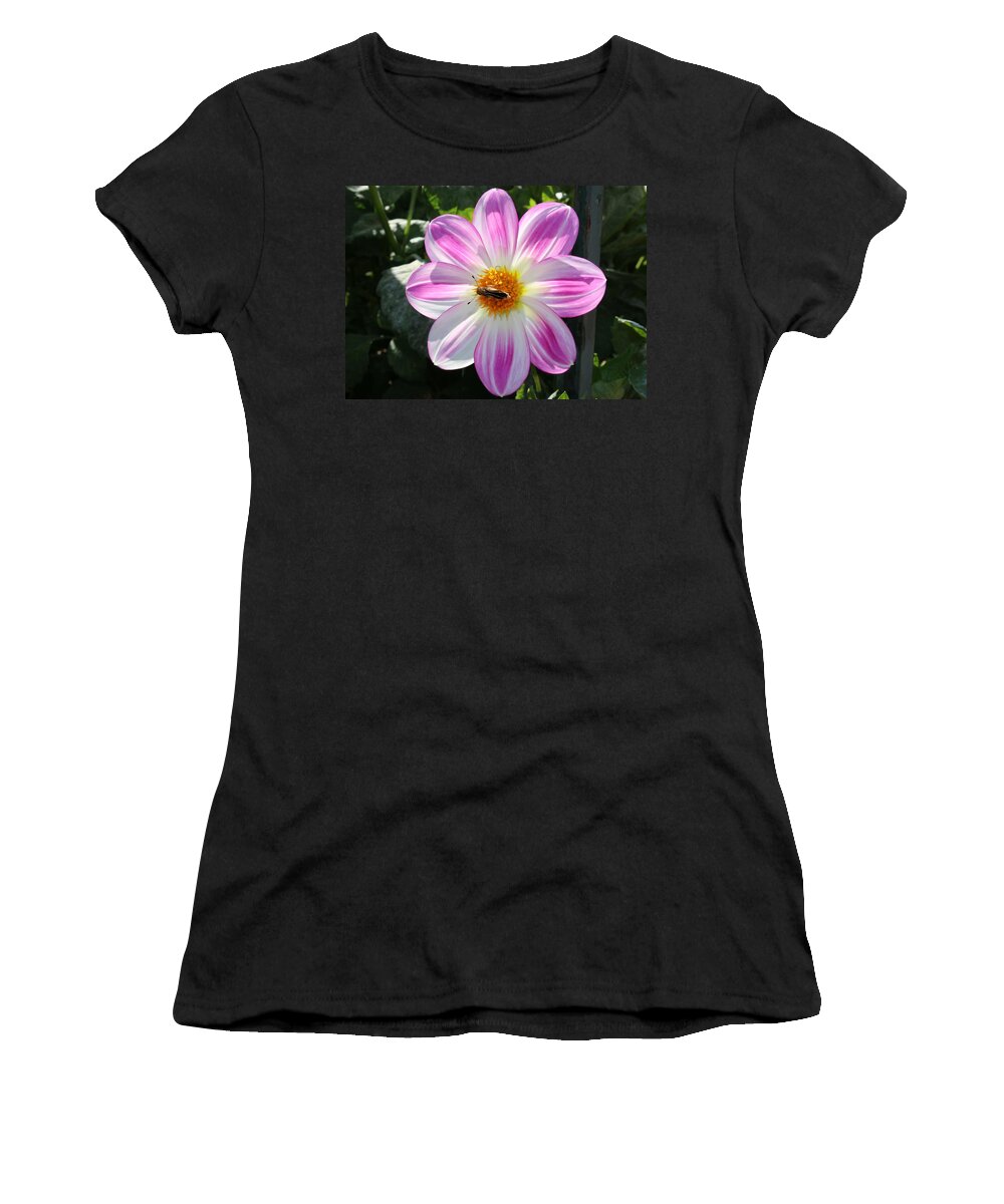 Moth Women's T-Shirt featuring the photograph Moth on a Flower - 2 by Christy Pooschke
