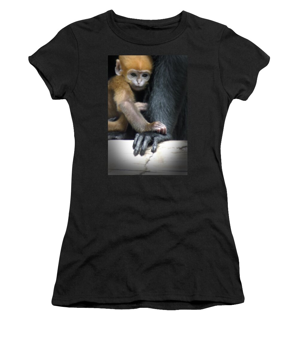 Baby Women's T-Shirt featuring the photograph Motherhood - Primate by DArcy Evans