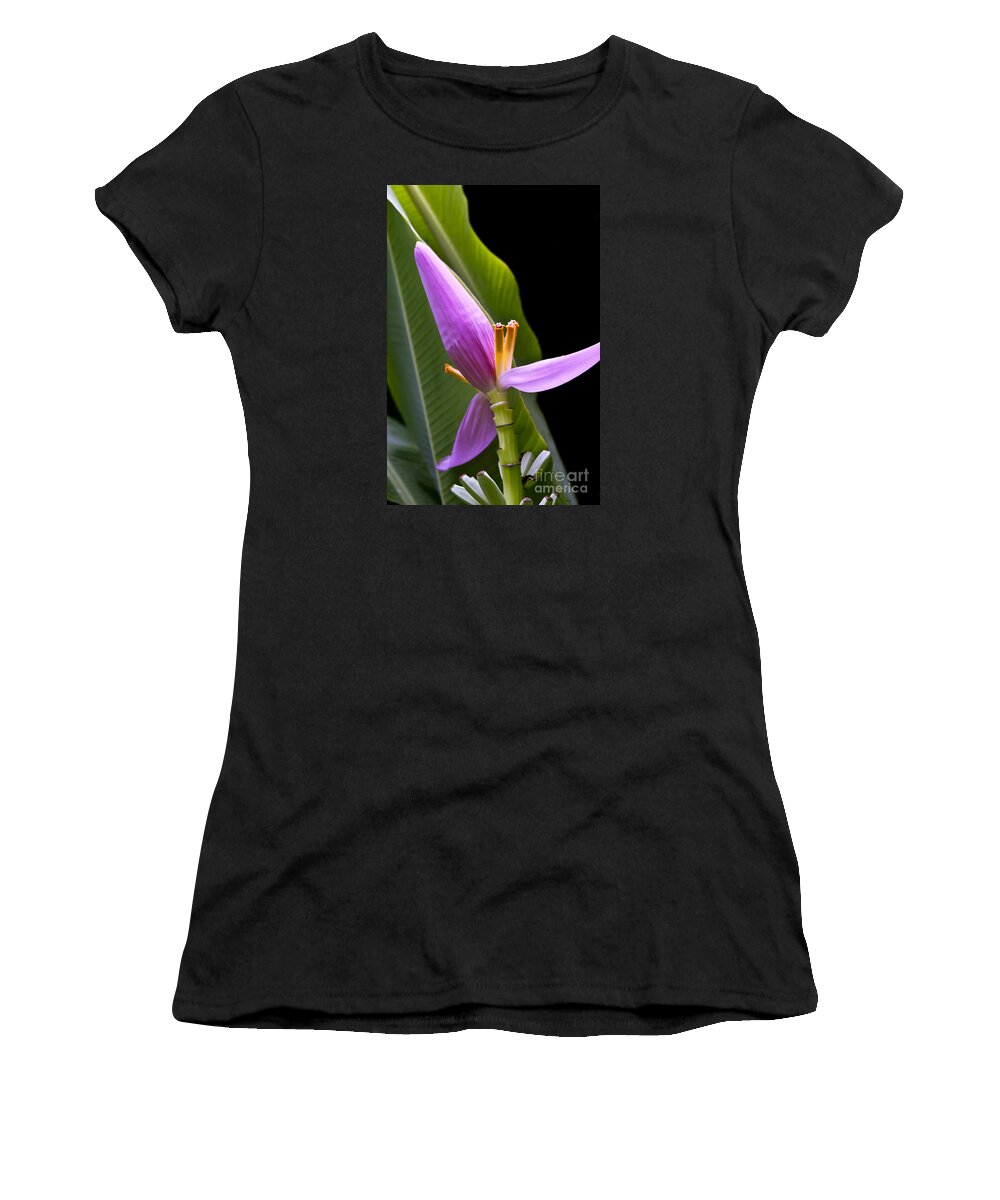 Musa Ornata Women's T-Shirt featuring the photograph Musa ornata Ornamental Banana Flower by Sharon Mau