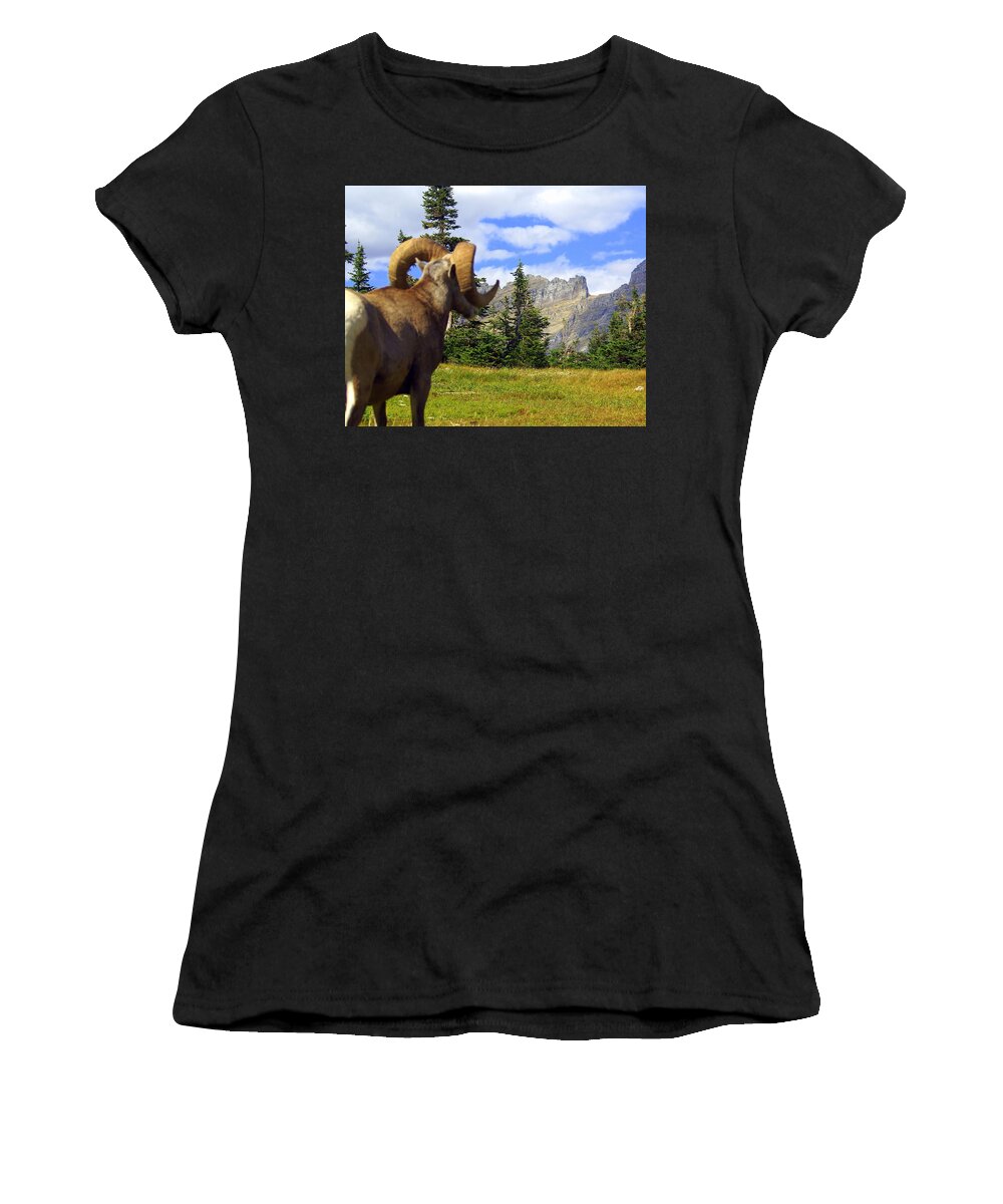 Glacier National Park Women's T-Shirt featuring the photograph My Kingdom by Marty Koch