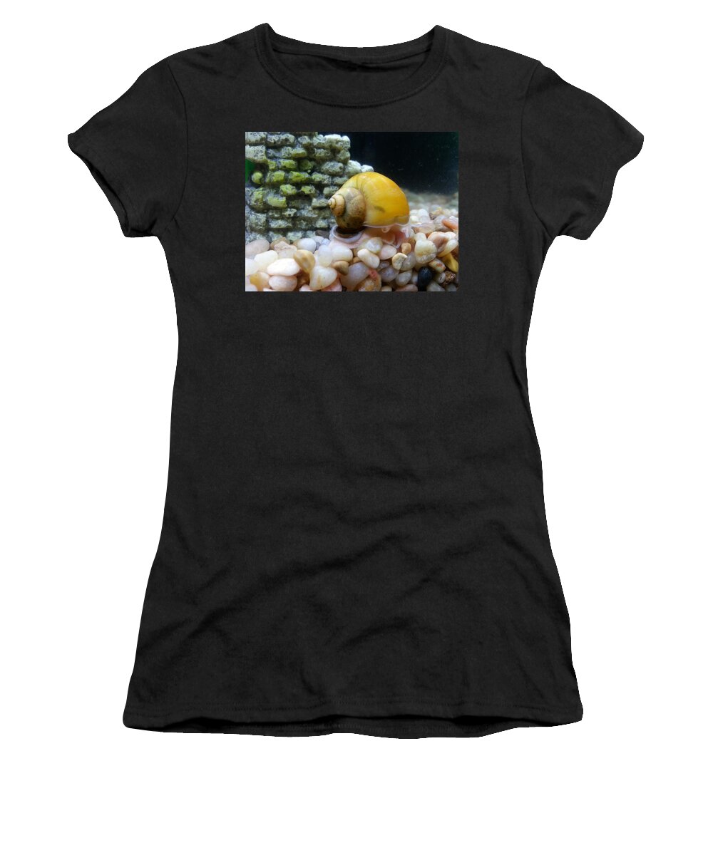 Mystery Snail Women's T-Shirt featuring the photograph Mystery Snail by Robert Knight