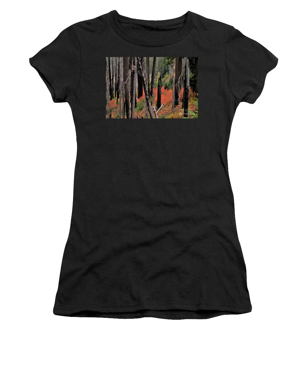 Oregon Women's T-Shirt featuring the photograph New Life by Merle Grenz