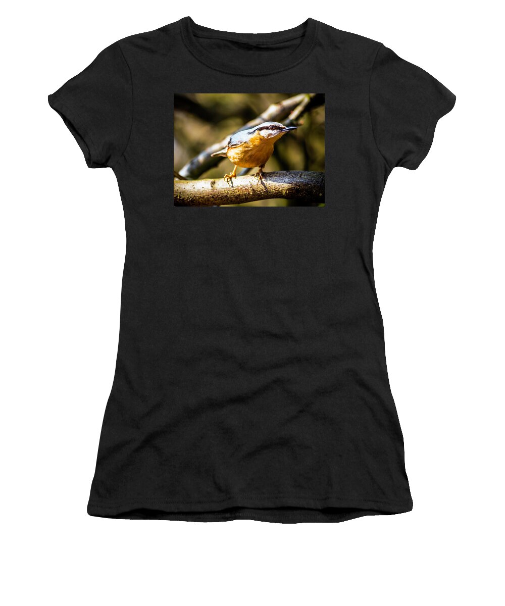 Birds Women's T-Shirt featuring the photograph Nuthatch Intense by Nick Bywater