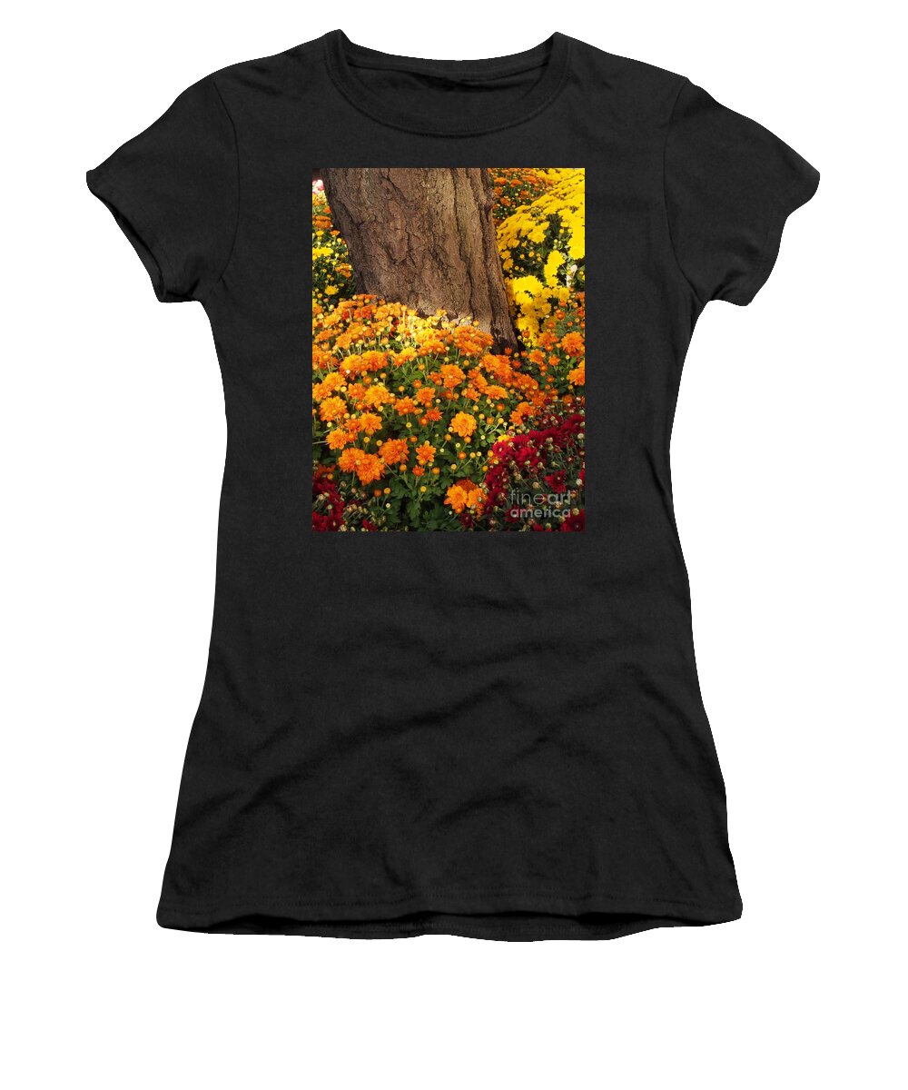 Flowers Women's T-Shirt featuring the photograph NYC Mums 5 by Dorothy Lee