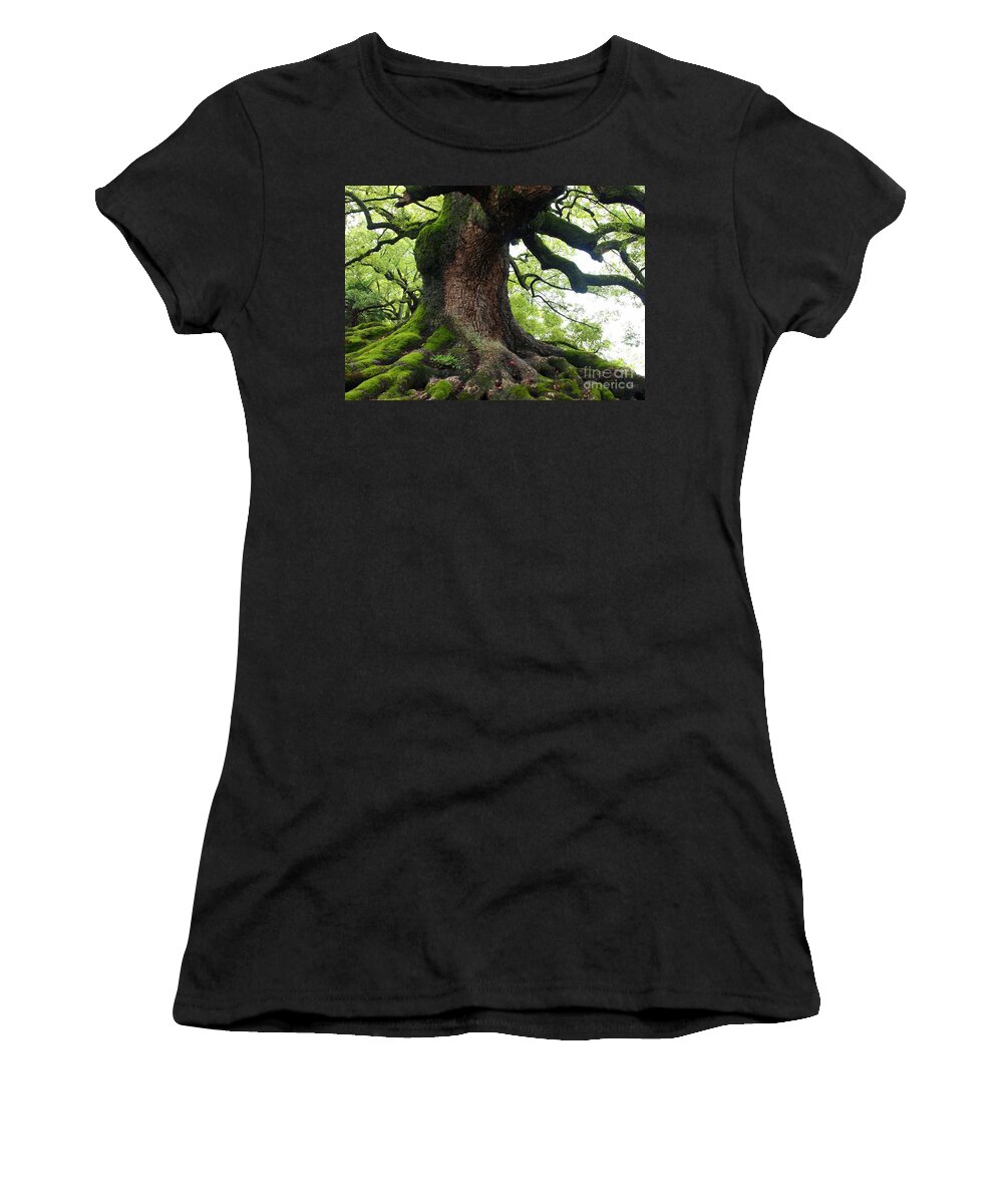 Tree Women's T-Shirt featuring the photograph Old Tree in Kyoto by Carol Groenen