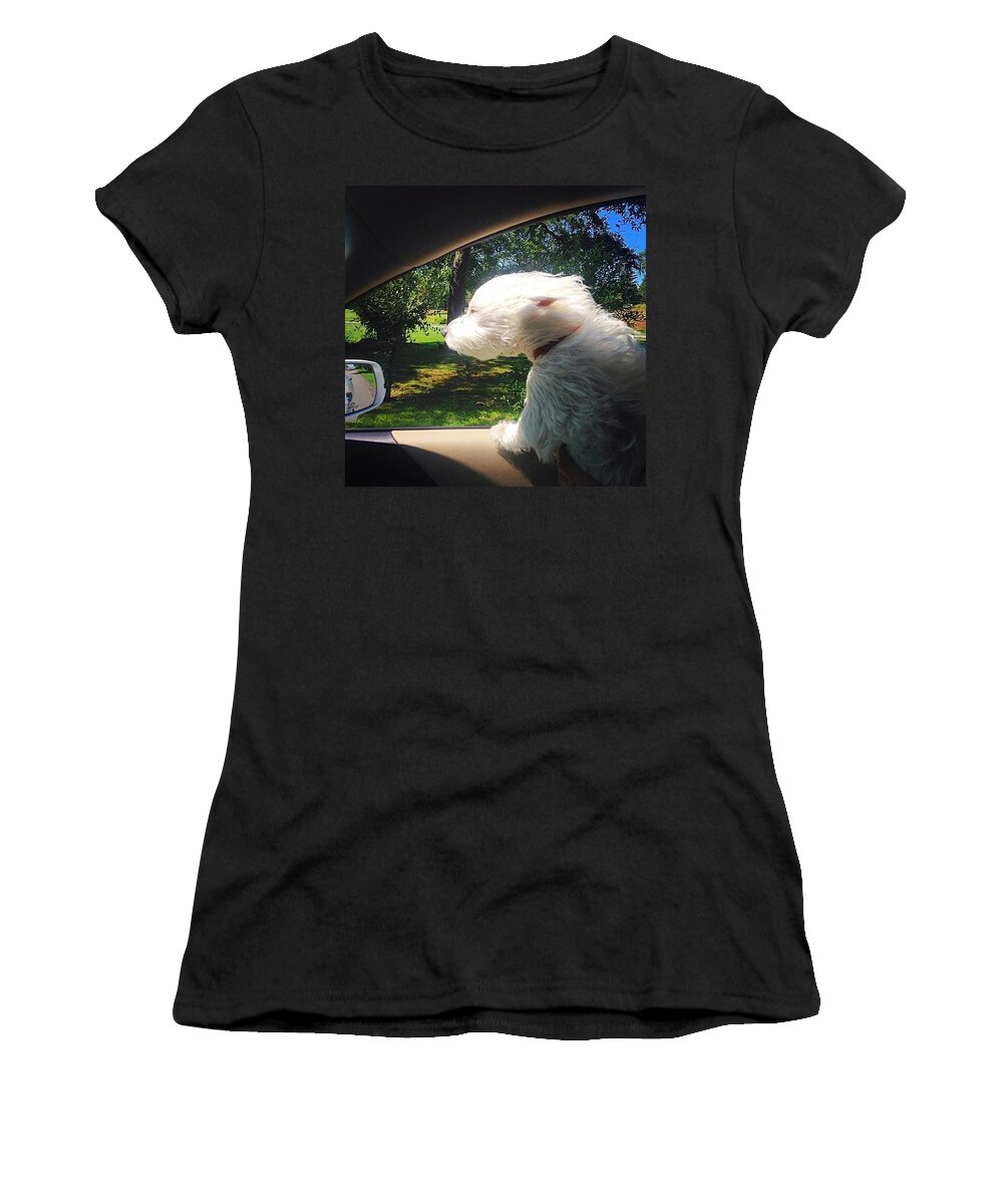 Happy Women's T-Shirt featuring the photograph Trip To The Groomer by Kate Arsenault 