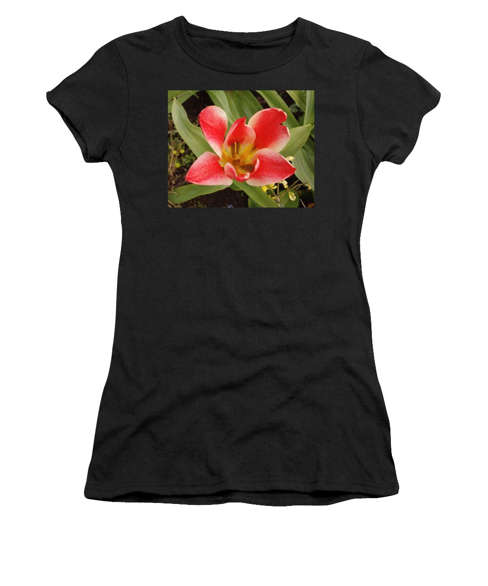 Flowers Women's T-Shirt featuring the photograph Open Tulip by Adrian Wale