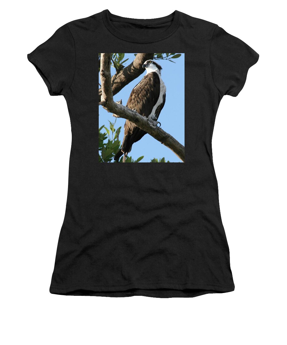 Osprey Women's T-Shirt featuring the photograph Osprey - perched by Jerry Battle