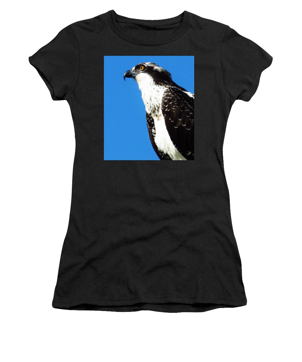 Osprey Women's T-Shirt featuring the photograph Osprey Profile by Lori Frisch