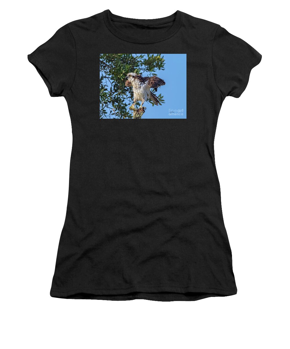 Osprey Women's T-Shirt featuring the photograph Osprey With Meal by DB Hayes