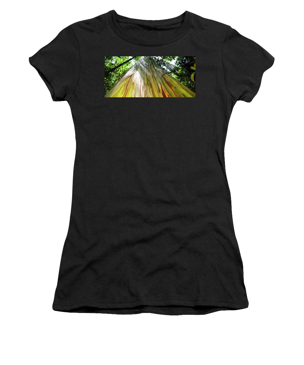 Painted Eucalyptus Tree Women's T-Shirt featuring the photograph Painted Tree by Anthony Jones