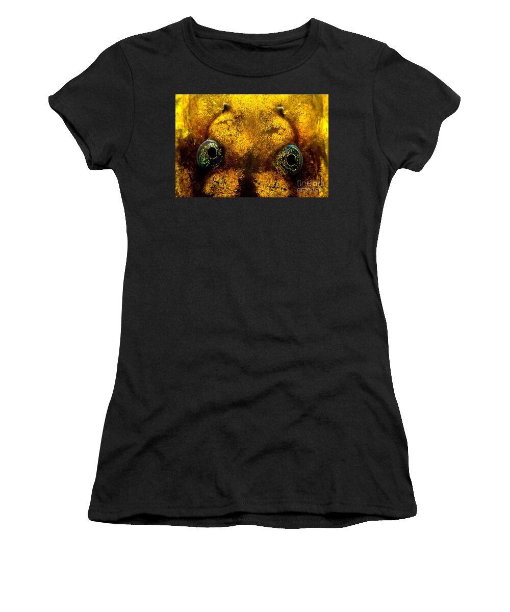 Pelado Mountains False Toad Women's T-Shirt featuring the photograph Pelado Mountains False Toad Tadpole by Dant Fenolio