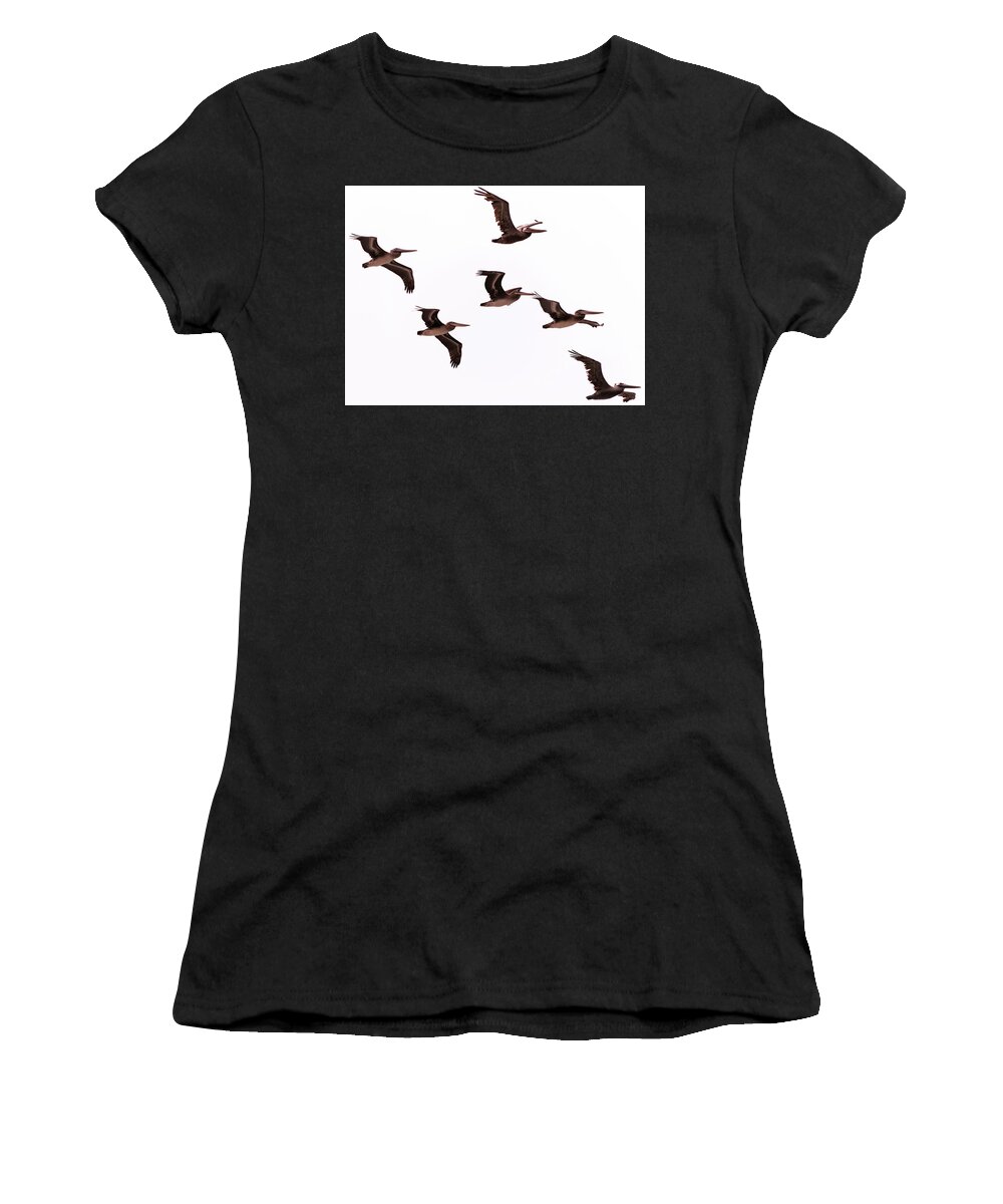 Pelicans Women's T-Shirt featuring the photograph Pelicans at Half Moon Bay by Steven Richman