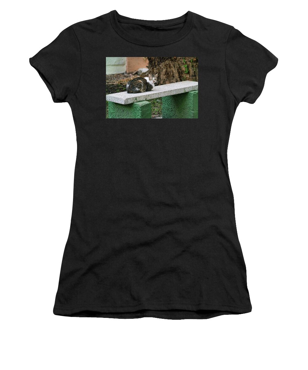 Cat Women's T-Shirt featuring the photograph Perched and Waiting by Sharon Popek