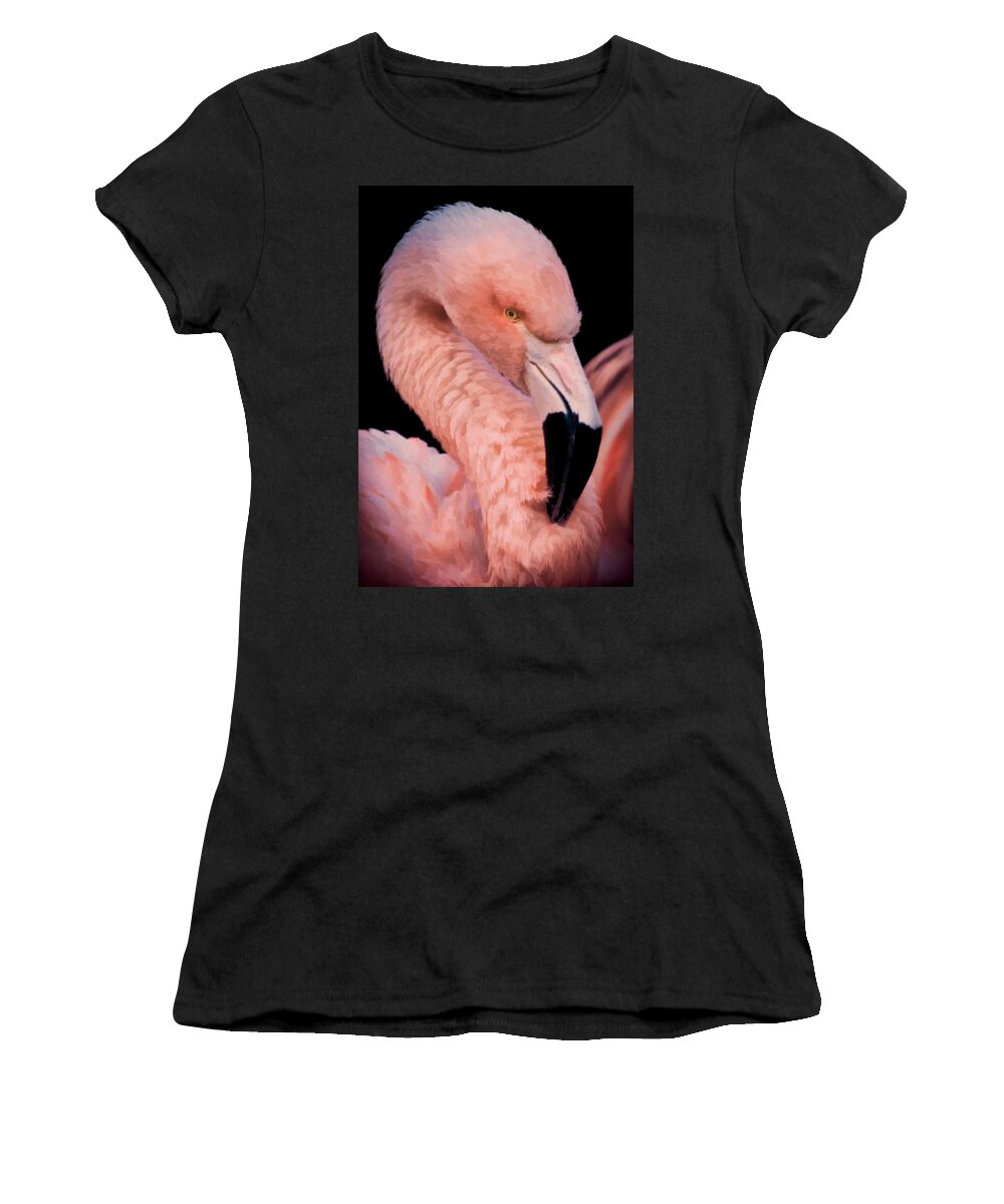 Pink Flamingo Women's T-Shirt featuring the photograph Pink Flamingo Portrait II by Athena Mckinzie