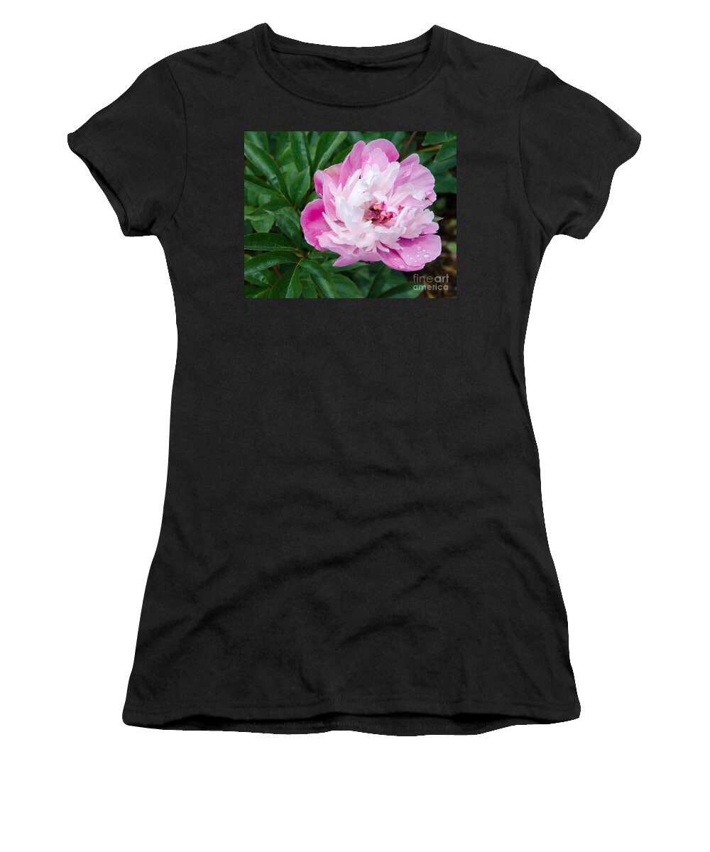 Pink Women's T-Shirt featuring the painting Pink Peony by Laurel Best