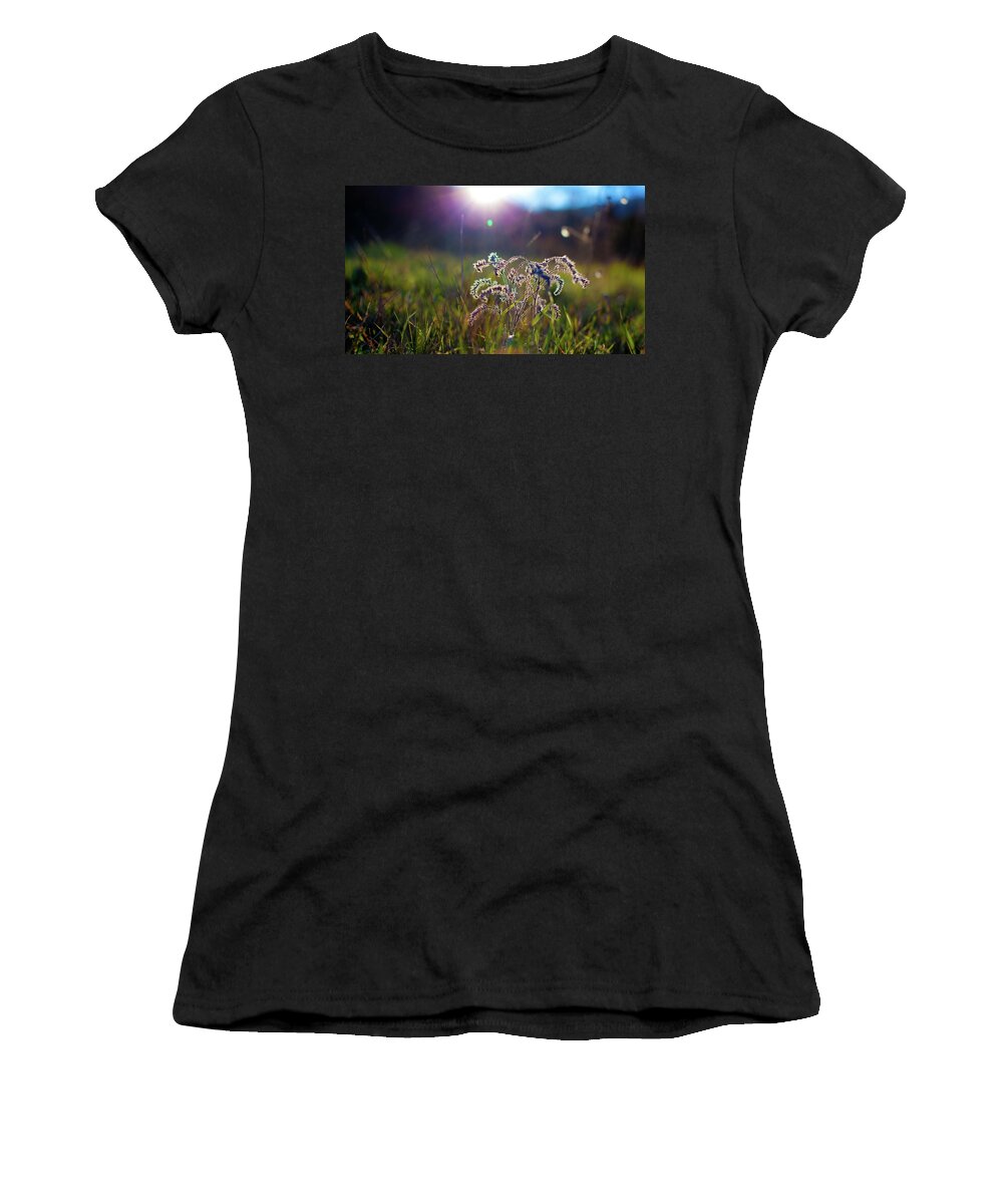 Plant Women's T-Shirt featuring the photograph Plant by Mariel Mcmeeking