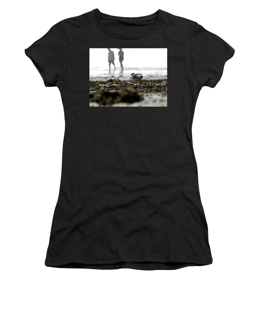 Daytona Women's T-Shirt featuring the photograph Plover on Daytona Beach 001 by Christopher Mercer