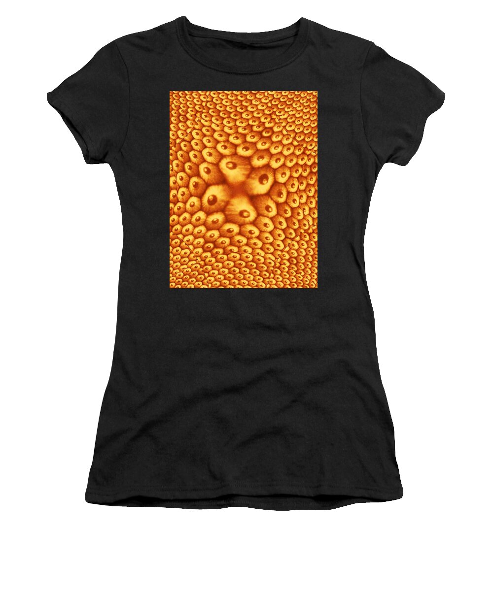 Pencils Women's T-Shirt featuring the photograph Point by Tim Allen