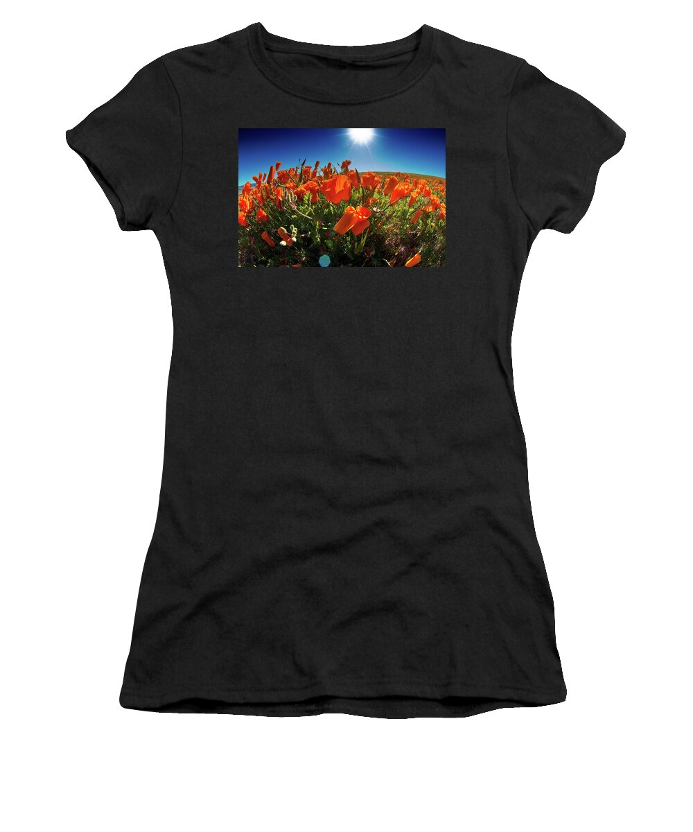 Poppies Women's T-Shirt featuring the photograph Poppies by Harry Spitz
