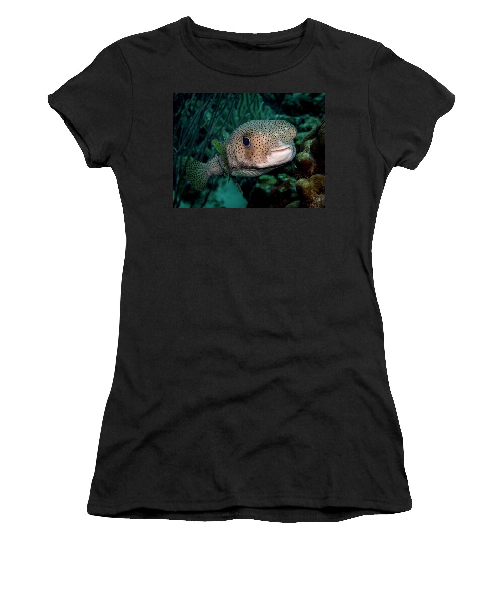 Bonaire Women's T-Shirt featuring the photograph Porcupine Fish by Jean Noren