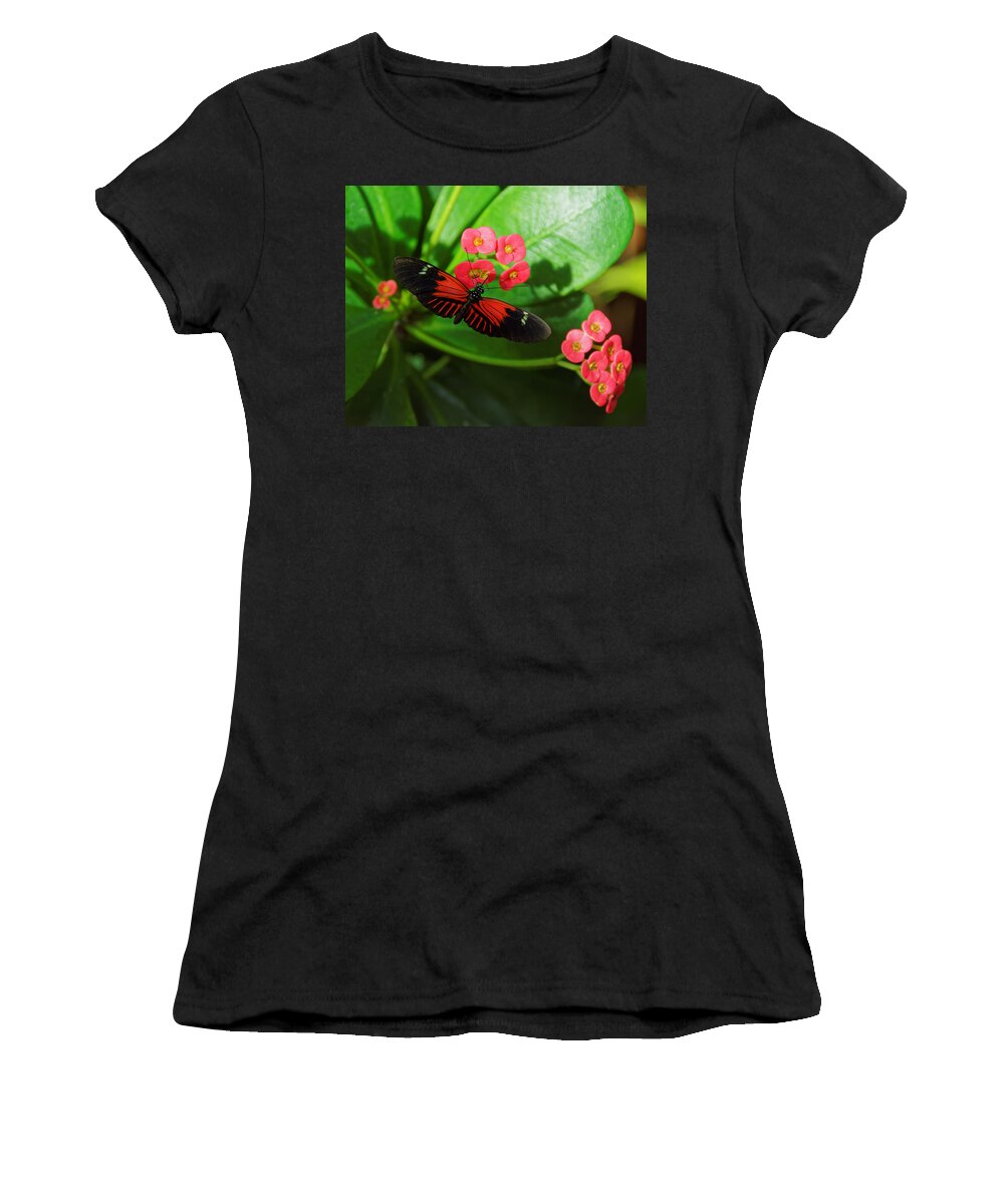 Darin Volpe Animals Women's T-Shirt featuring the photograph Red -- Postman Butterfly at Key West Butterfly and Nature Conservatory, Key West, Florida by Darin Volpe