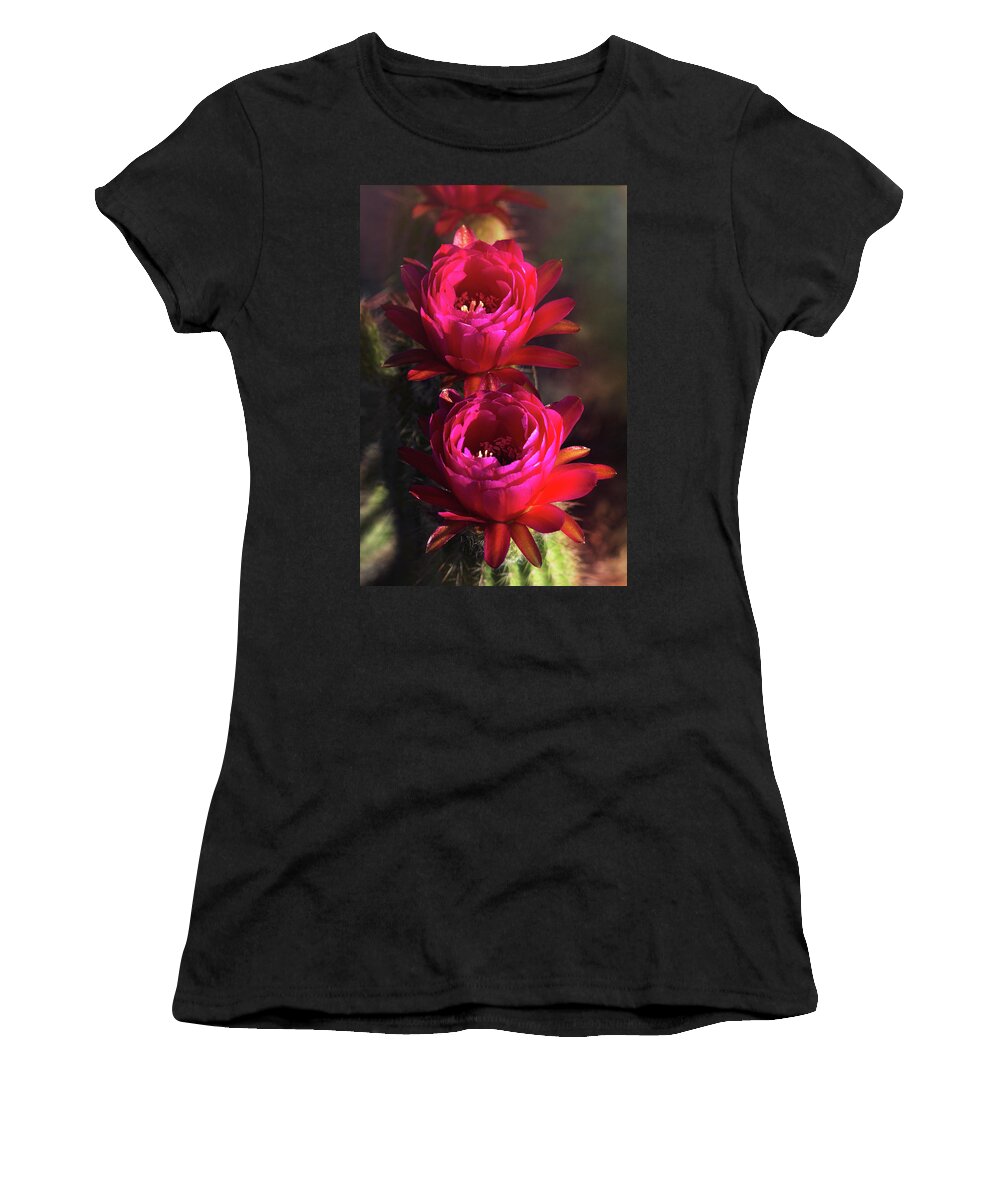 Pink Torch Cactus Flowers Women's T-Shirt featuring the photograph Pretty in Pink Torch Cactus by Saija Lehtonen