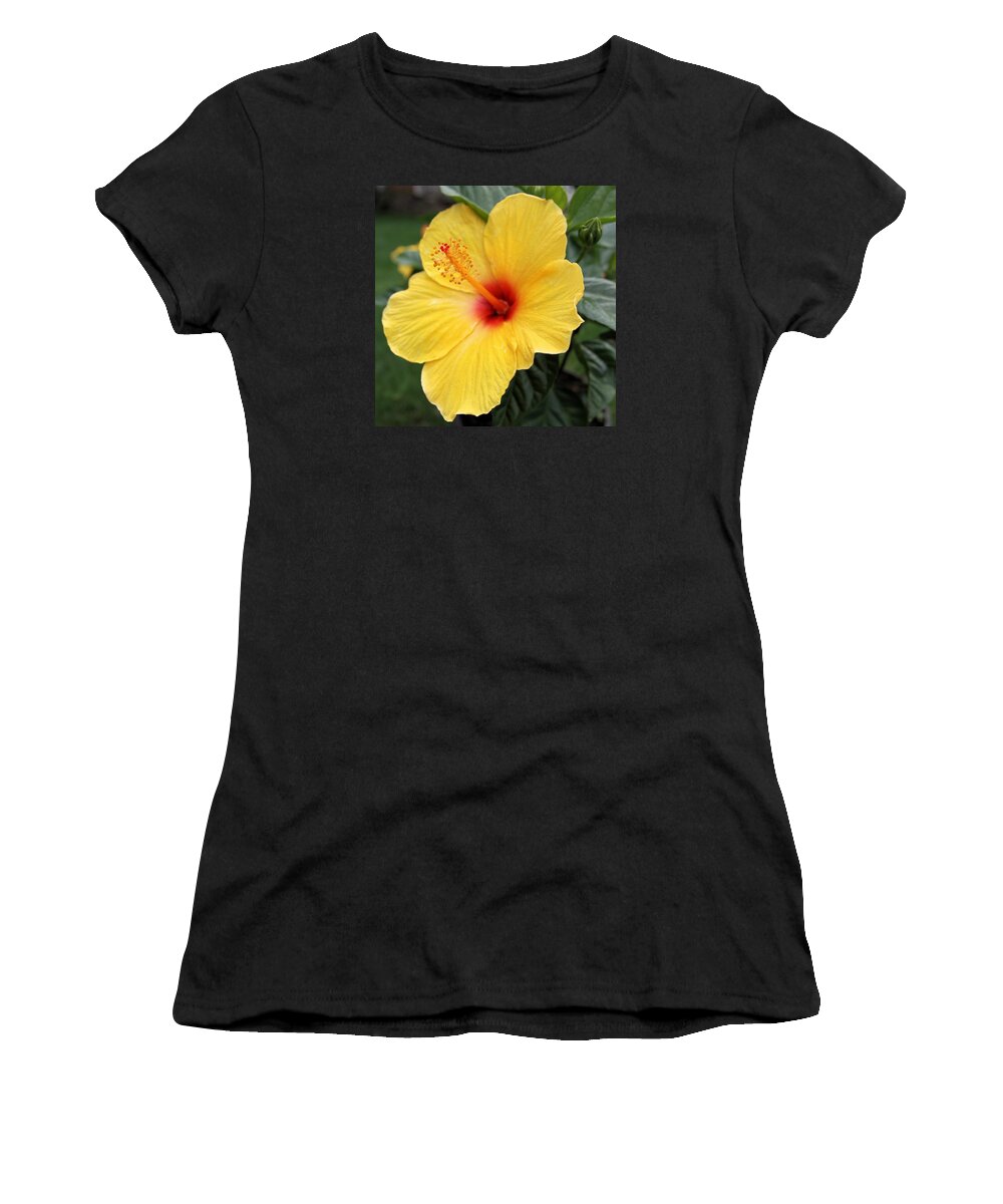 Flower Women's T-Shirt featuring the photograph Pua Aloalo by DJ Florek