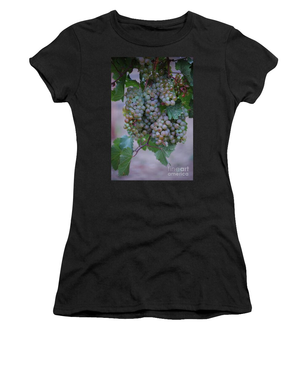 Vineyard Women's T-Shirt featuring the photograph Purple Majesty by Jean Lamont
