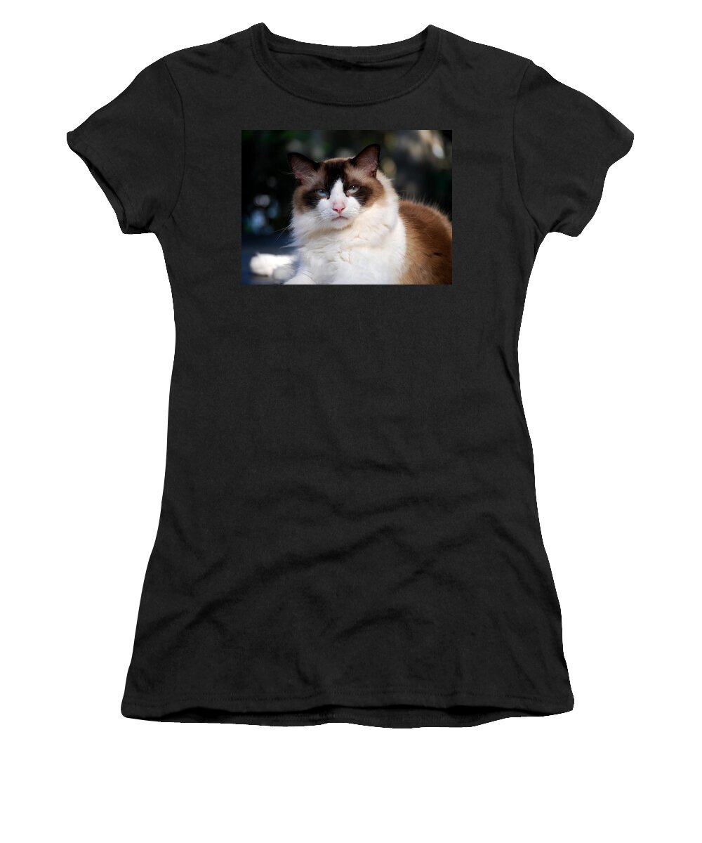 Rag Doll Women's T-Shirt featuring the photograph Rag Doll Alpha Pose 1 by Angela Murray