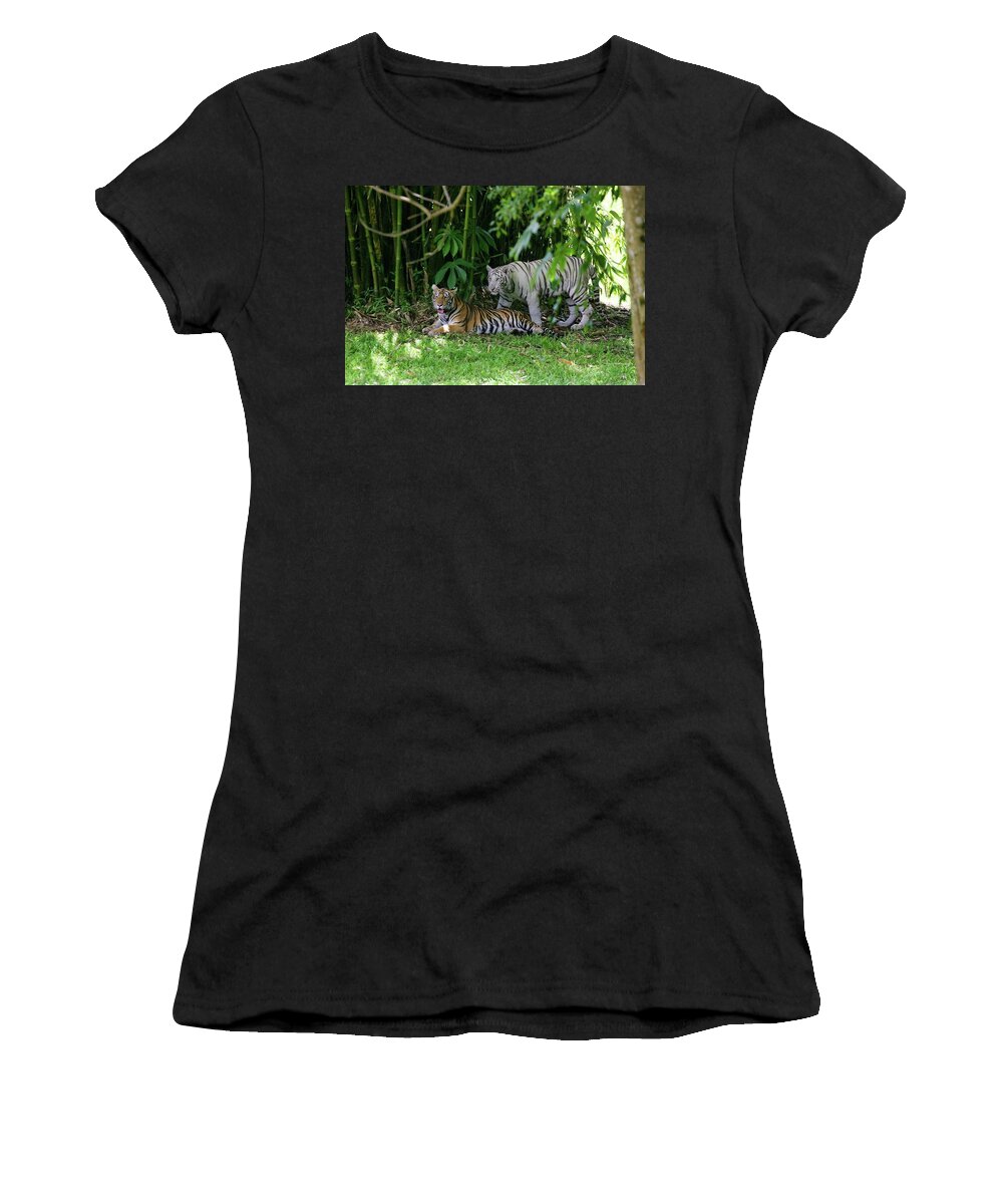 Hawaii Women's T-Shirt featuring the photograph Rain Forest Tigers by Anthony Jones