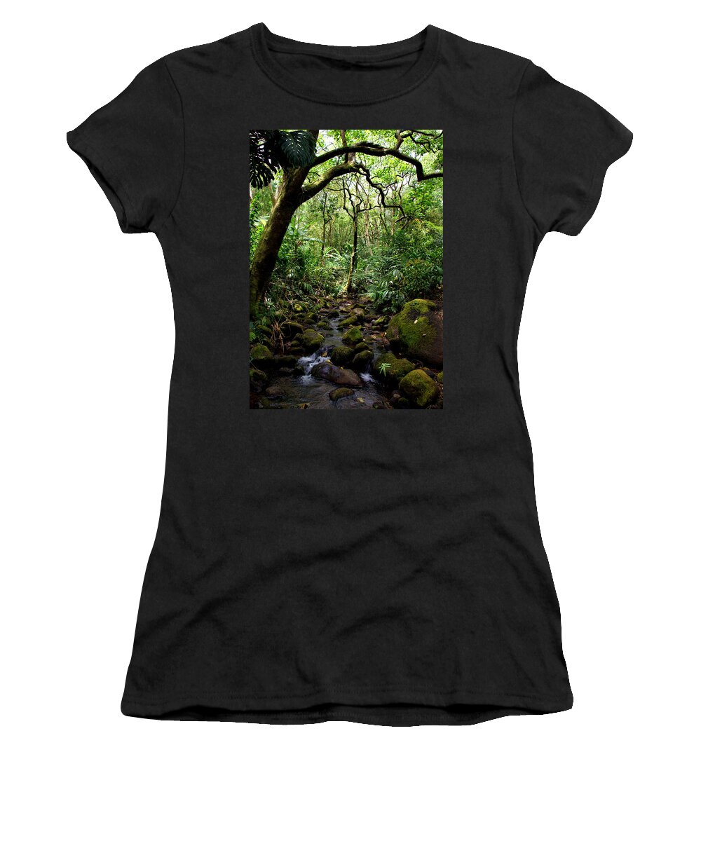 Manoa Women's T-Shirt featuring the photograph Rainforest Stream by Kevin Smith