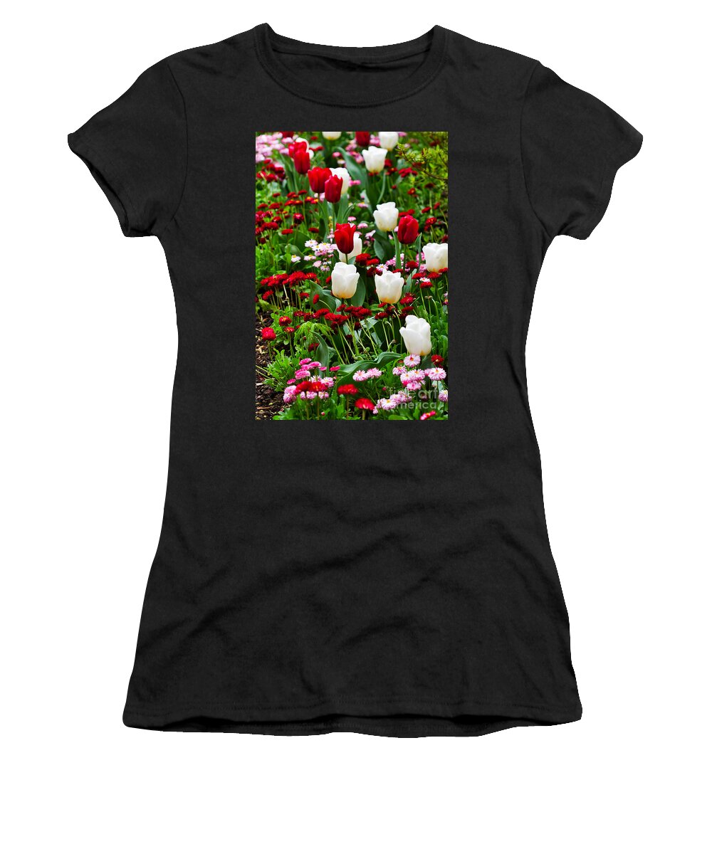 Flower Women's T-Shirt featuring the photograph Red and White Tulips with Red and Pink English Daisies in Spring by Louise Heusinkveld