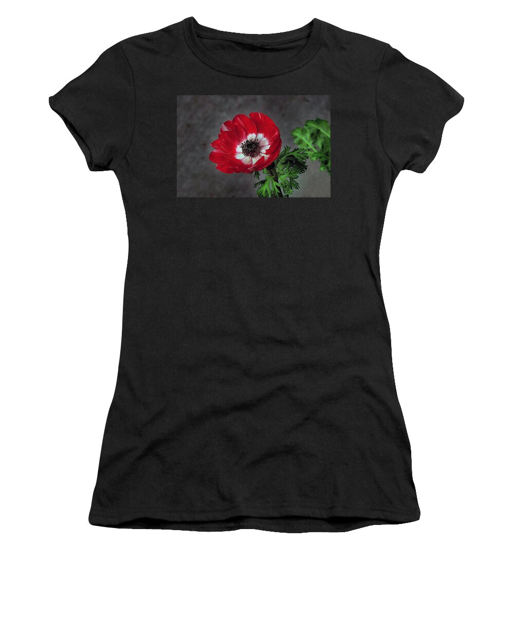 Anemone Women's T-Shirt featuring the photograph Red Anemone 1 by Hazel Vaughn
