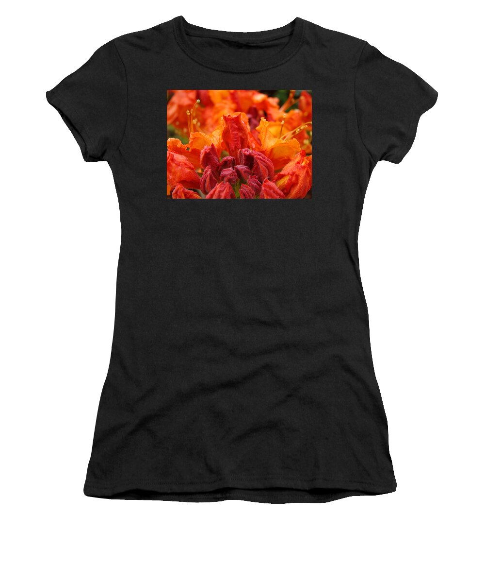 �azaleas Artwork� Women's T-Shirt featuring the photograph Red Azaleas Orange Azalea Flowers 9 Floral Giclee Art Prints Baslee Troutman by Patti Baslee