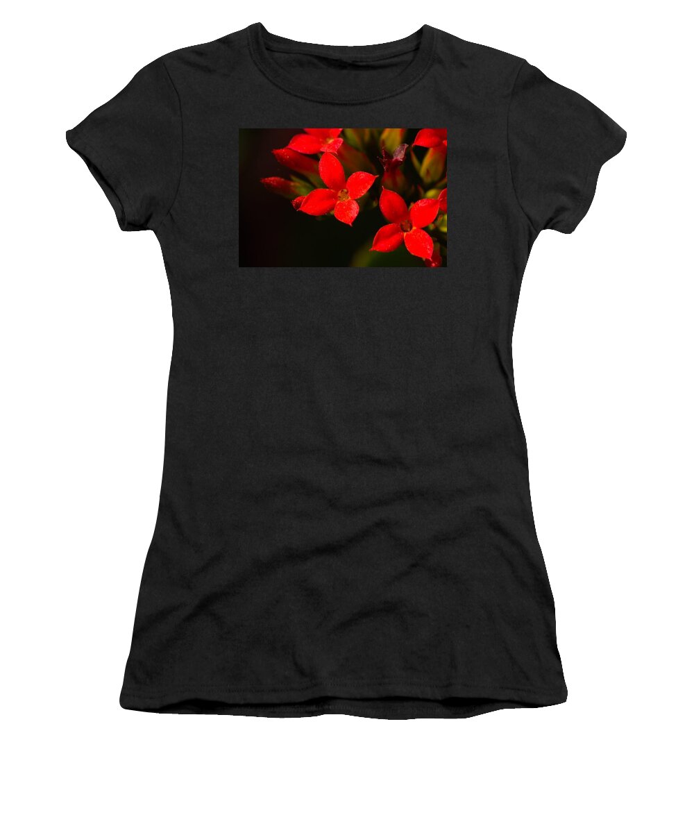 Red Women's T-Shirt featuring the photograph Red blooms by James Smullins