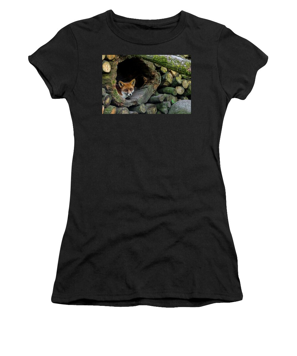 Red Fox Women's T-Shirt featuring the photograph Red Fox in Woodpile by Arterra Picture Library