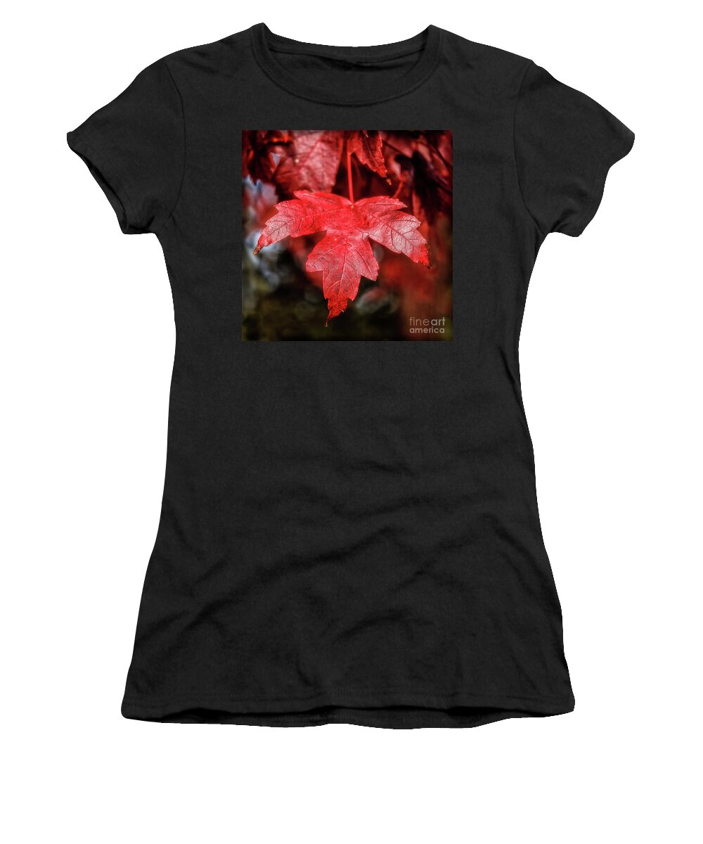 Maple Women's T-Shirt featuring the photograph Red Leaf by Robert Bales