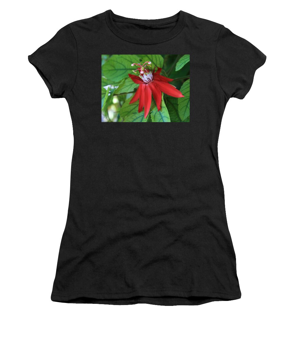 Red Passion Women's T-Shirt featuring the photograph Red Passion by Marna Edwards Flavell