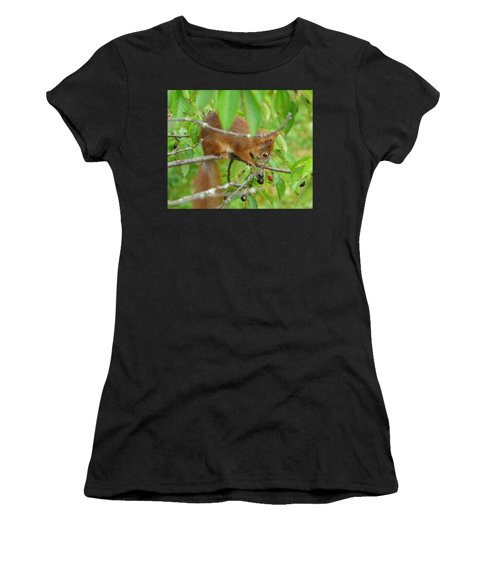 Animal Women's T-Shirt featuring the photograph Red Squirrel in the Cherry Tree by Valerie Ornstein
