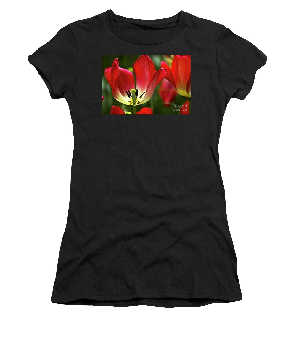 Tulip Women's T-Shirt featuring the photograph Red tulips petals by Heiko Koehrer-Wagner