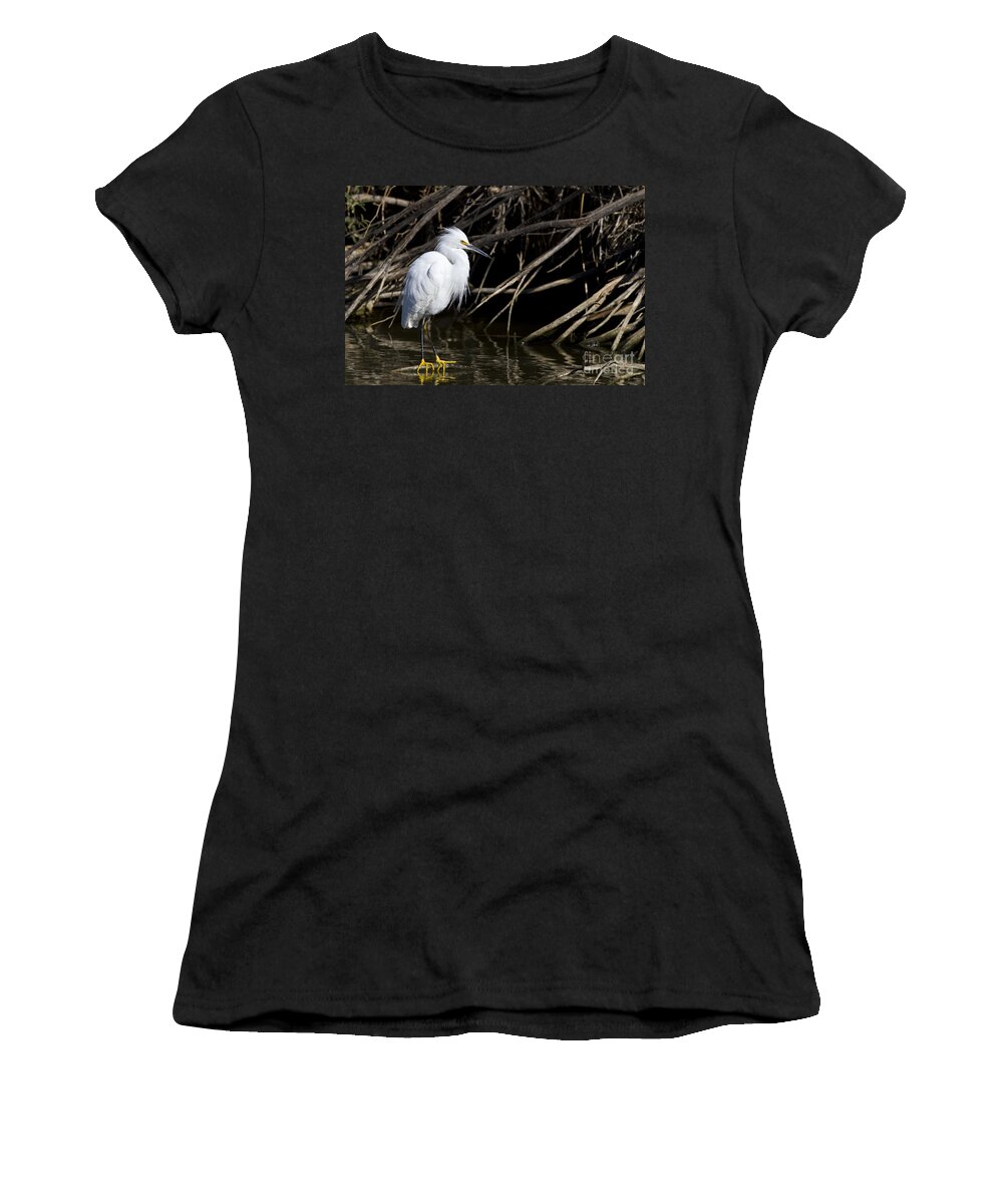 Snowy Egret Women's T-Shirt featuring the photograph Resting Snowy by Bryan Keil